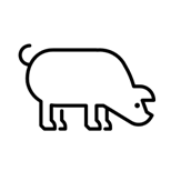 Porcine